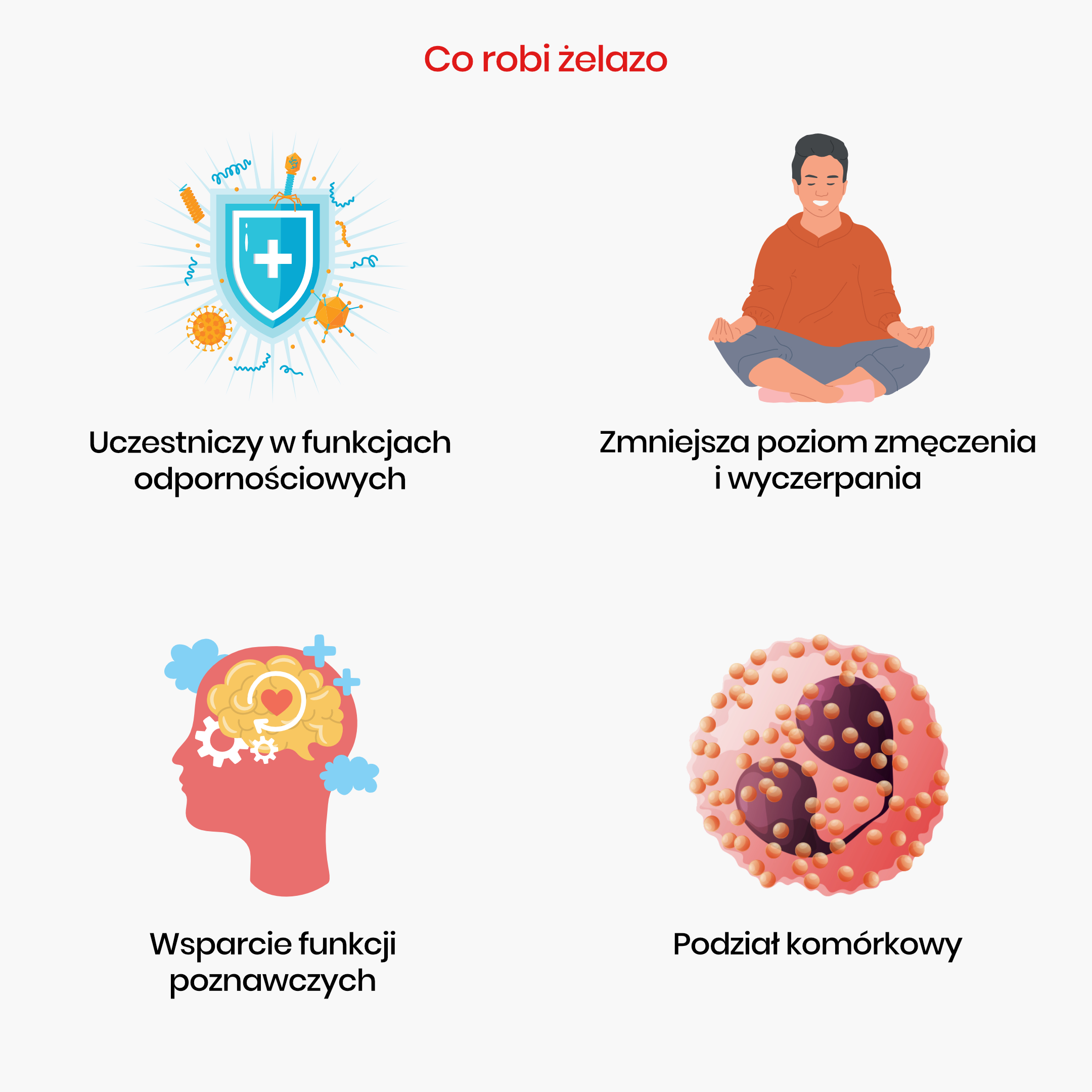 co dělá železo_Infografika_pl